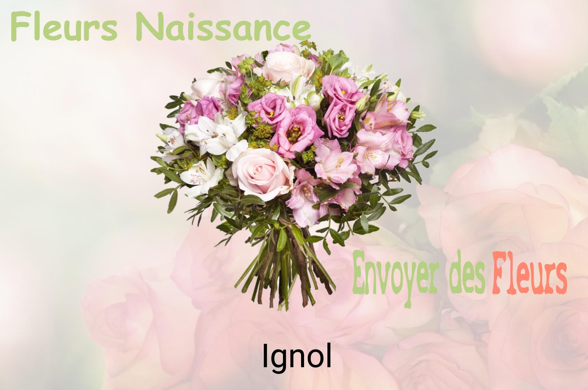 Bouquet de fleurs de naissance livré à Ignol