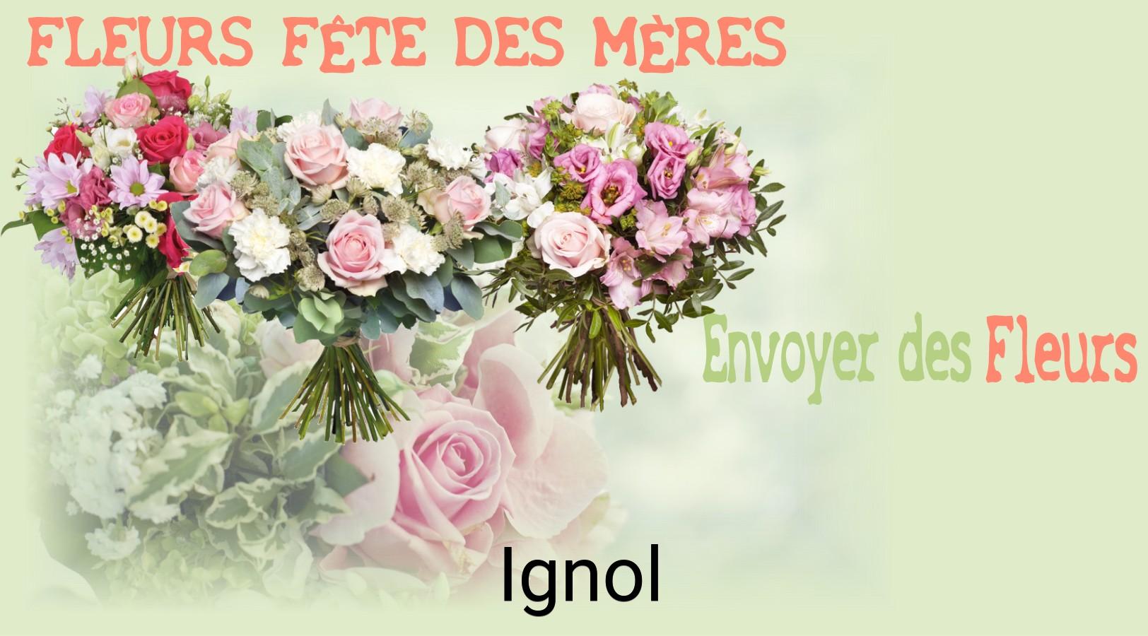 Bouquet de Fête des Mères livré à Ignol